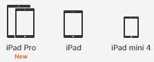Apple iPad Products